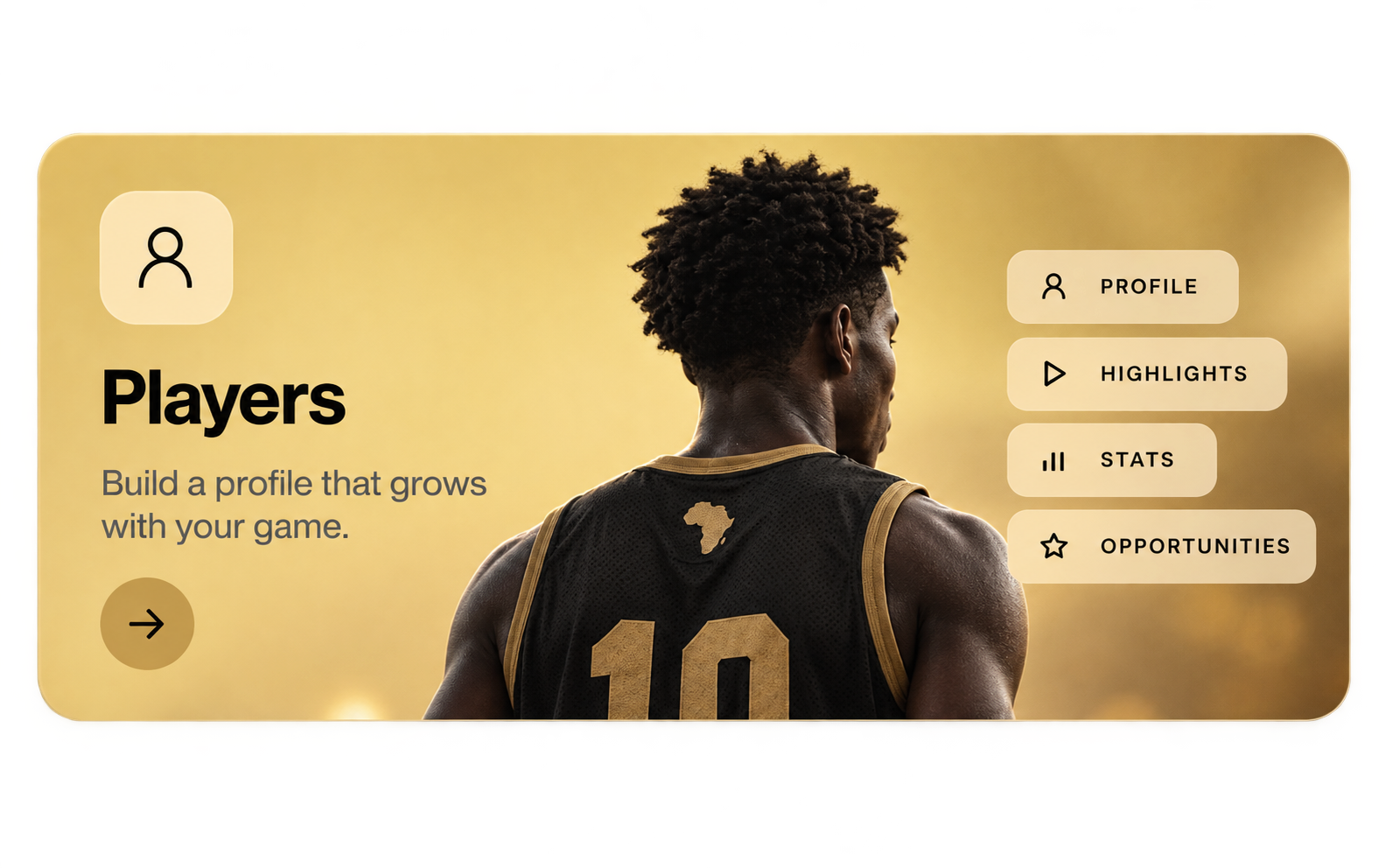 Players: build a profile with highlights, stats and opportunities